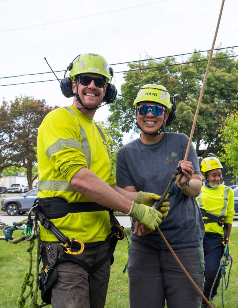 Cohen & Master Arborists in consultation
