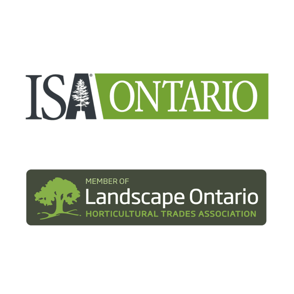 ISA Certified Arborists Ontario