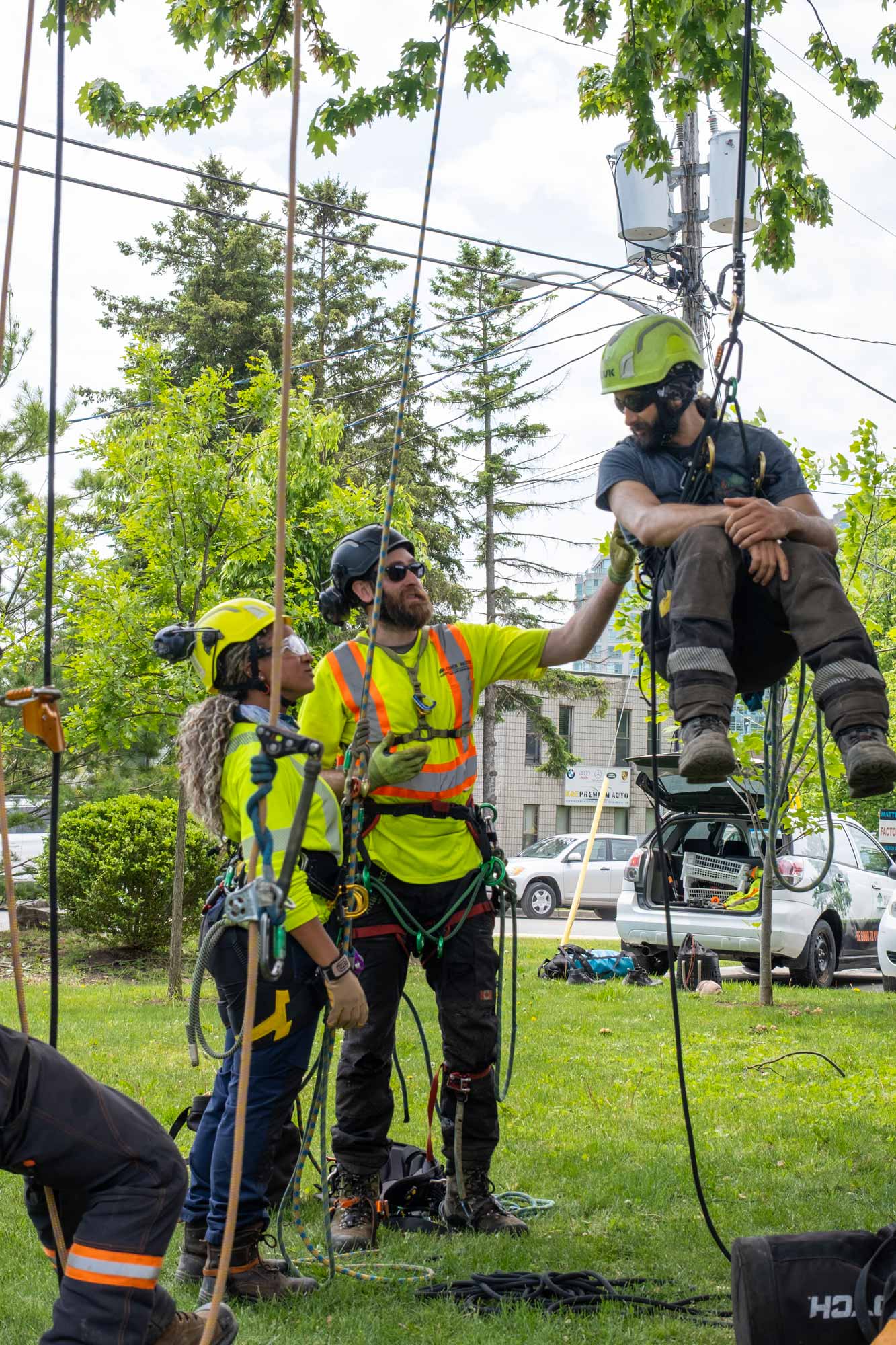 Cohen & Master Arborist at work in tree canopy
